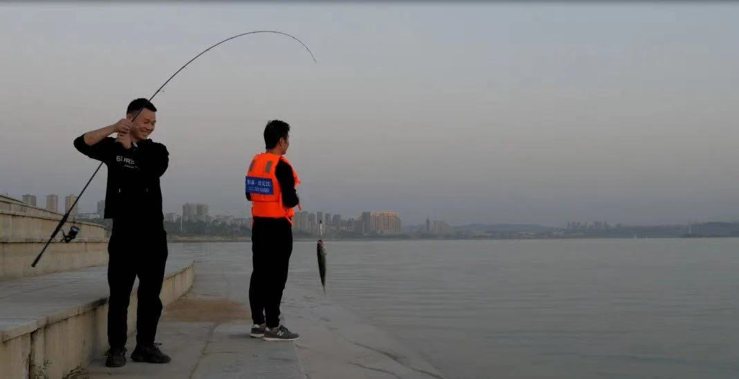 1607570100117086.png 1607570100117086.png